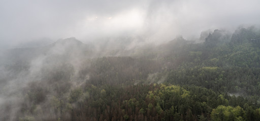 Fototapeta na wymiar foggy morning in saxon switzerland, saxony, germany