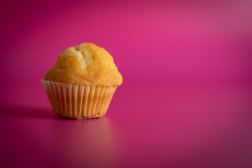 orange cupcake on background