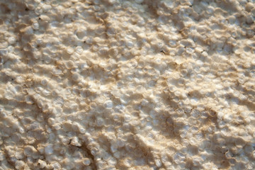 close-up of a sheet of building foam