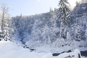 Obraz premium a beautiful snowy mountain landscape in the Carpathians, a mountain winter river