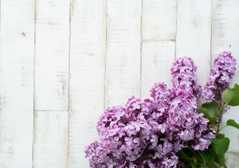 Fototapeta na wymiar bright blooming purple lilac on a light background imitating a tree. Wooden background, branches and flowers of lilac laid out on the background. Photophone for decor