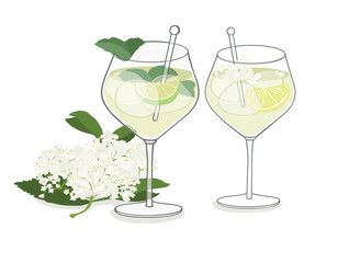 Elderflower summer drink - isolated vector illustration  - obrazy, fototapety, plakaty
