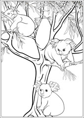 Koala and eucalyptus. Coloring page for the adult coloring book. Outline hand drawing vector illustration..
