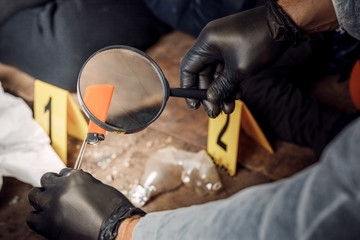 An expert is gathering evidence at a crime scene. The law and the concept of police forensics.