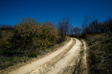 
country road