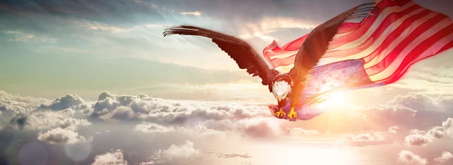 Gartenposter Adler mit amerikanischer Flagge, die über den Wolken fliegt © Romolo Tavani