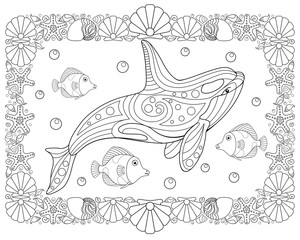 Inhabitants of the ocean - horizontal vector coloring antistress with a frame of shells and starfish. Killer whale and small fish for a coloring book. Horizontal page for coloring. Outline. © Hanna