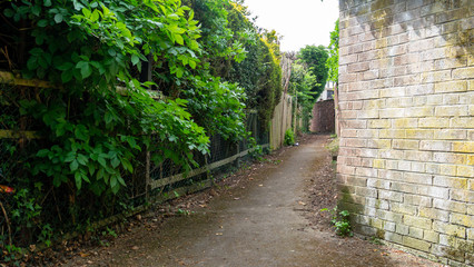 A perspective view up a public walkway that has trees to the left and an old brick wall to the right.