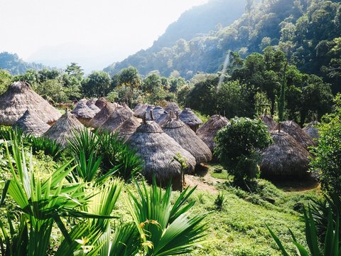 View kogui houses from the top 