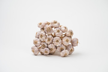 Close-up garlic on a white background