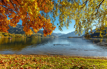 Obraz na płótnie Canvas Beautiful Sunny day in Alps. wonderlust view of highland lake With autumn trees under sunlight and perfect sky. Landscape with Alps and Zeller See in Zell am See, Salzburger Land, Austria