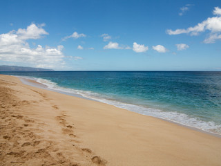 Fototapeta premium hawaii shore