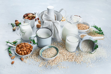 Various vegan plant based milk and ingredients.
