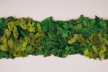 Dark green moss with copy-space on a grey background. Zero waste concept. Flat lay style.
