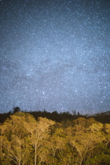 Malaysia, 3 May 2020 - Nature landscape with stars on night