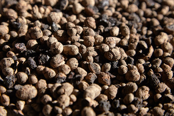 Expanded clay aggregate