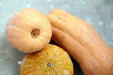 Pumpkins or butternut squashes on grey concrete background