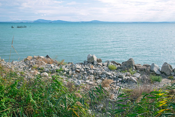 Lush green vegetation and stones on the seashore. Calm sea on a sunny summer day.