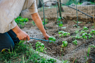 Friendly adult woman works the land with a tool for planting new plants in the home garden - Female digs in social urban spaces - Concept of ecological and sustainable