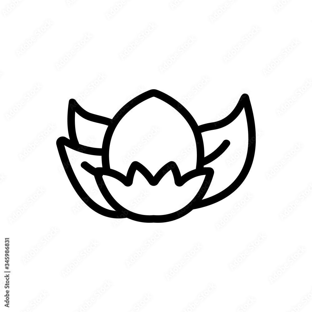 Poster hazelnut and shell icon vector. hazelnut and shell sign. isolated contour symbol illustration