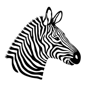 Zebra head. Wild animal logo artwork design. Black and white vector illustration