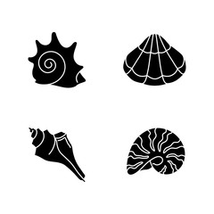 Various seashells black glyph icons set on white space. Sea shells collection hobby, conchology silhouette symbols. Rock shell, scallop, triton conch and moonshell vector isolated illustrations