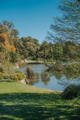 Fototapeta na wymiar Serene lake at a garden surrounded by trees and plant.