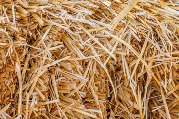 A stack of dry hay