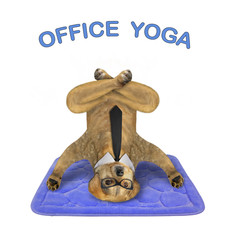 The beige dog in a black tie and glasses is doing headstand exercise on a blue fitness mat. Office  yoga. White background. Isolated.