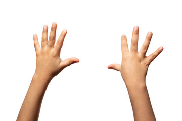 Two kid hands in white background