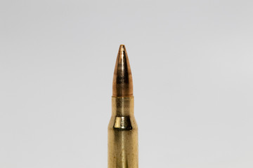 .308 cartridges