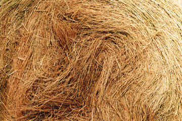 Dry yellow straw grass hay background texture after havest, Straw bales texture