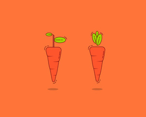 Vectorial icons of two carrots in front of an orange background