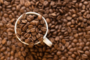 Coffee Beans in a White Cup