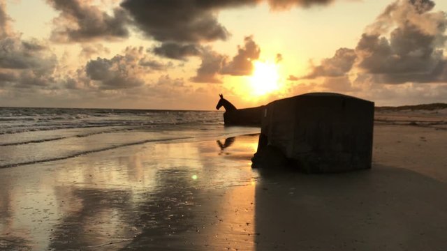 Strolling at sunset among the bunkers camouflaged as mules of the Blavand beach. Denmark 4K