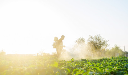 Naklejka na ściany i meble Farmer spraying plants with pesticides in the early morning. Protecting against insect and fungal infections. Agriculture and agribusiness, agricultural industry. The use of chemicals in agriculture.