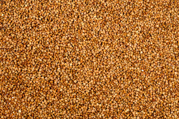 buckwheat on a close-up. solid abstract background