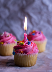 Cupcakes decorated with pink icing and sprinkles with a lit candle