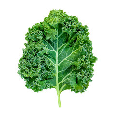 Kale leaf salad vegetable isolated  on white background. Creative layout made of kale closeup. Flat...