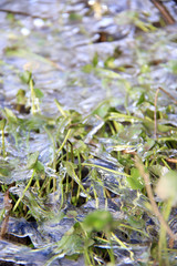 melting ice close up