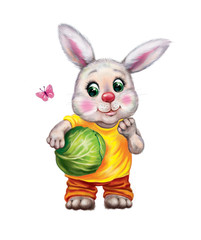 bunny and cabbage