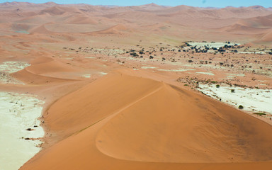 Fototapeta na wymiar sand dunes in Namib Naukluft Park