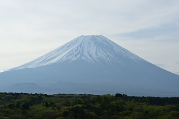 Fototapeta premium It is located in Shizuoka