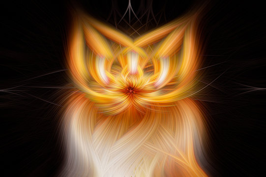 Abstract swirl image with base photo of ginger cat