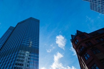 Naklejka premium In the City of Frankfurt Hesse