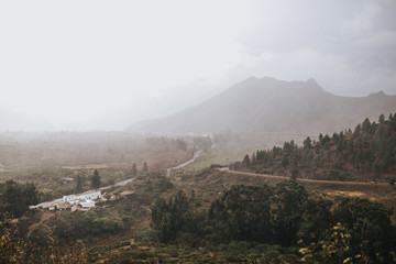 fog in the mountains