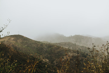 fog in the mountains