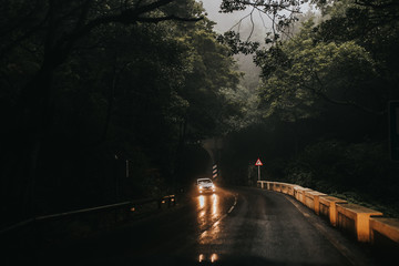 road in the fog