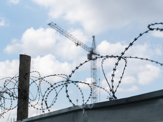 barbed wire fence 