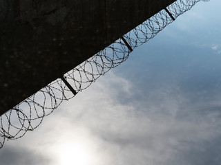 barbed wire fence